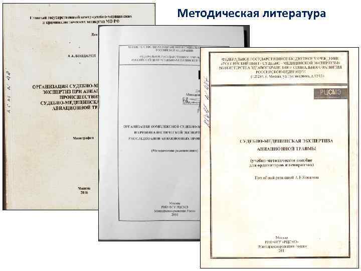 Методическая литература 