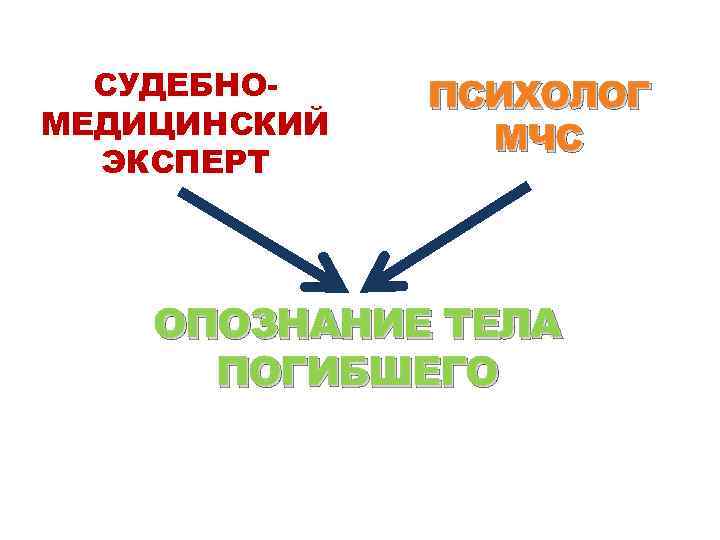 СУДЕБНОМЕДИЦИНСКИЙ ЭКСПЕРТ ПСИХОЛОГ МЧС ОПОЗНАНИЕ ТЕЛА ПОГИБШЕГО 