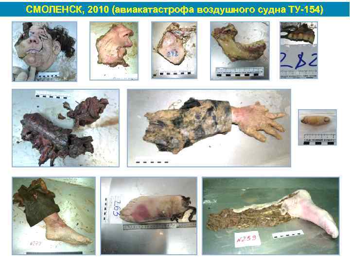СМОЛЕНСК, 2010 (авиакатастрофа воздушного судна ТУ 154) 