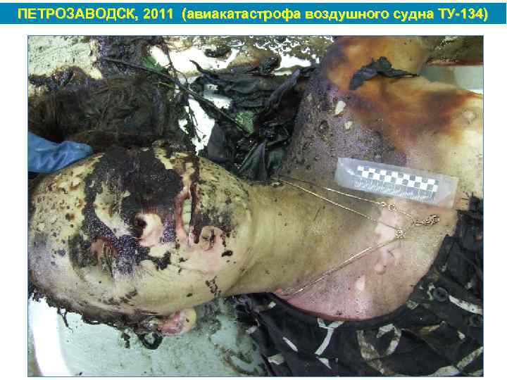 ПЕТРОЗАВОДСК, 2011 (авиакатастрофа воздушного судна ТУ 134) 