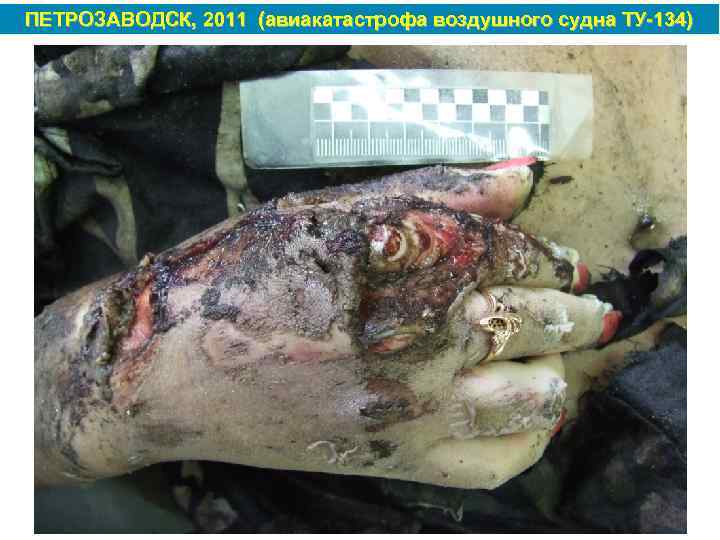 ПЕТРОЗАВОДСК, 2011 (авиакатастрофа воздушного судна ТУ 134) 