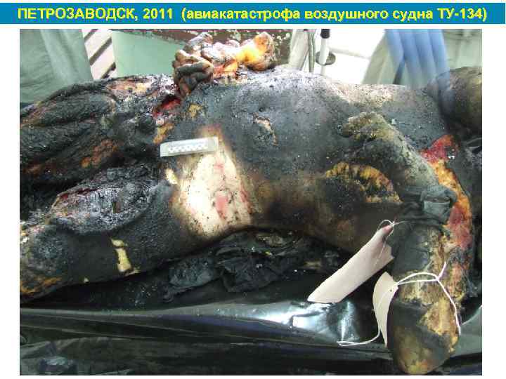 ПЕТРОЗАВОДСК, 2011 (авиакатастрофа воздушного судна ТУ 134) 