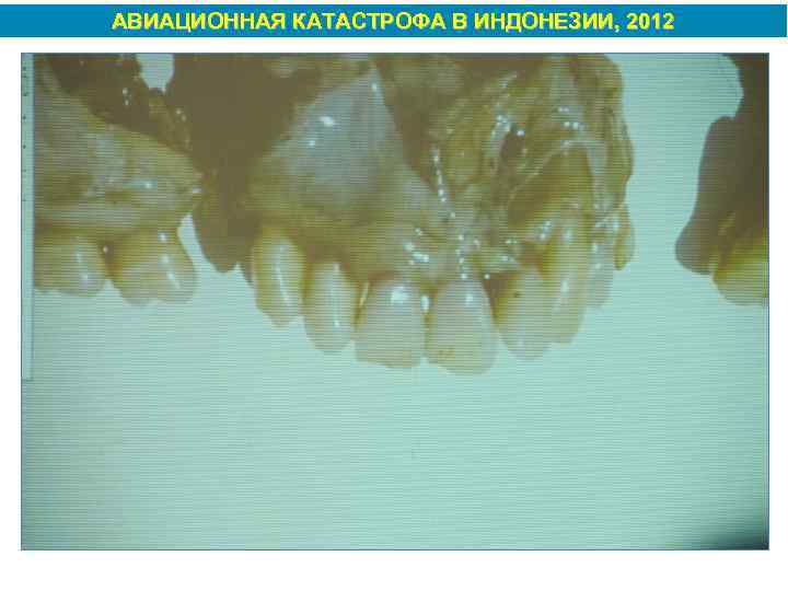 АВИАЦИОННАЯ КАТАСТРОФА В ИНДОНЕЗИИ, 2012 