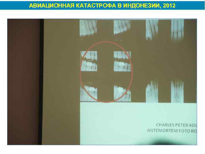 АВИАЦИОННАЯ КАТАСТРОФА В ИНДОНЕЗИИ, 2012 