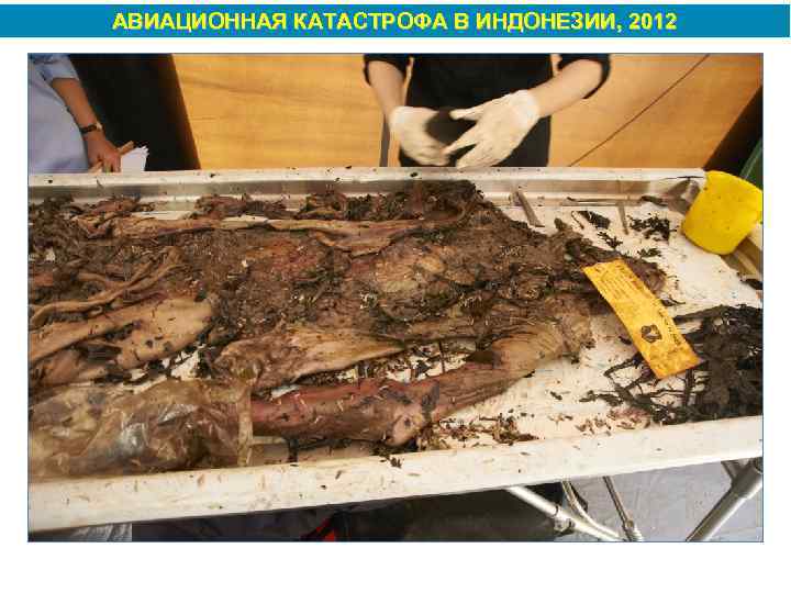 АВИАЦИОННАЯ КАТАСТРОФА В ИНДОНЕЗИИ, 2012 