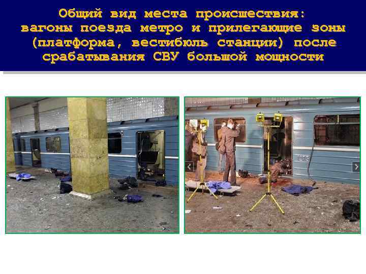 Общий вид места происшествия: вагоны поезда метро и прилегающие зоны (платформа, вестибюль станции) после