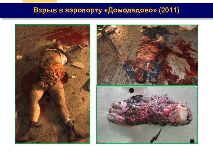 Взрыв в аэропорту «Домодедово» (2011) 