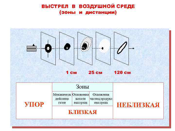 Зона выстрела. Определение дистанции выстрела судебная медицина. Как определить дистанцию выстрела. Зоны близкой дистанции выстрела. Определение дистанции выстрела.