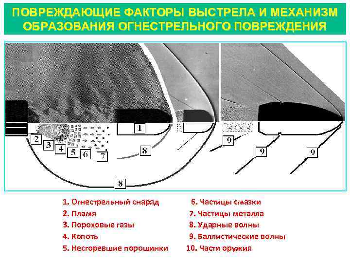 Схема основных и дополнительных следов выстрела на преграде