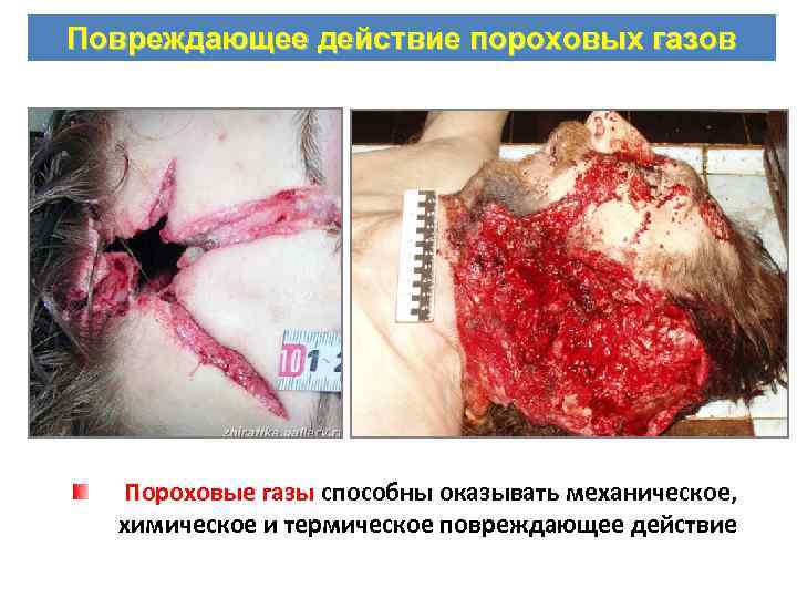 Повреждающее действие пороховых газов Пороховые газы способны оказывать механическое, химическое и термическое повреждающее действие
