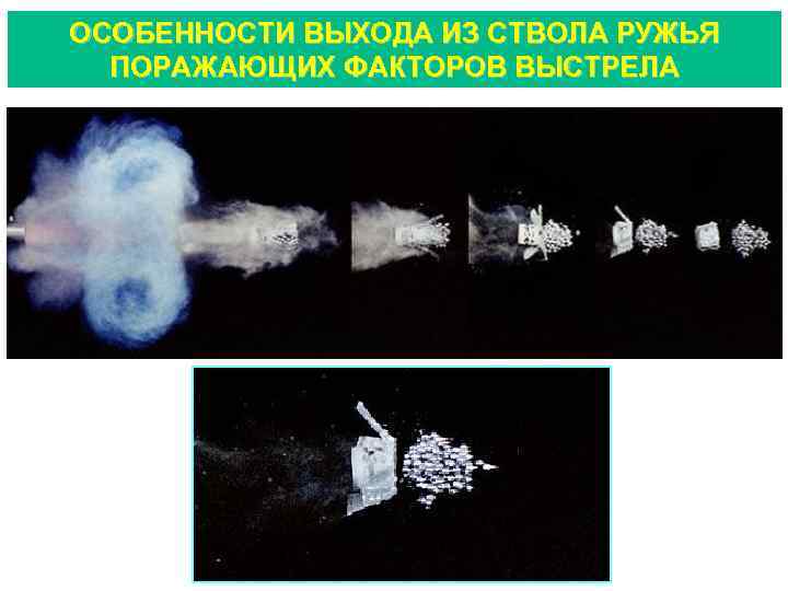 ОСОБЕННОСТИ ВЫХОДА ИЗ СТВОЛА РУЖЬЯ ПОРАЖАЮЩИХ ФАКТОРОВ ВЫСТРЕЛА 