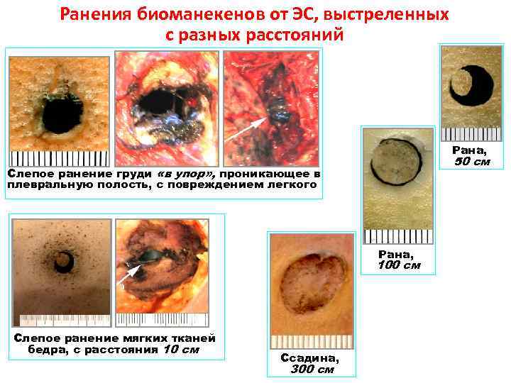 Ранения биоманекенов от ЭС, выстреленных с разных расстояний Рана, 50 см Слепое ранение груди
