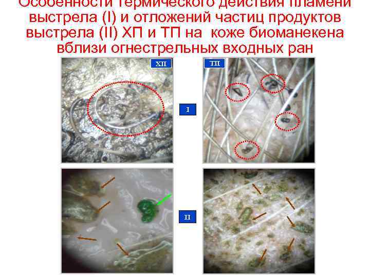 Особенности термического действия пламени выстрела (I) и отложений частиц продуктов выстрела (II) ХП и
