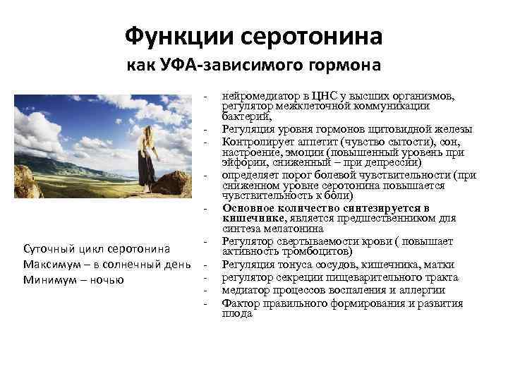 Функции серотонина как УФА-зависимого гормона - Суточный цикл серотонина Максимум – в солнечный день