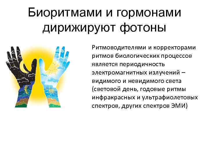 Биоритмами и гормонами дирижируют фотоны Ритмоводителями и корректорами ритмов биологических процессов является периодичность электромагнитных