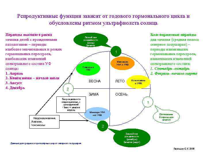 Репродуктивные функции зависят от годового гормонального цикла и обусловлены ритмом ультрафиолета солнца Периоды высокого