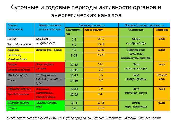 Суточные и годовые периоды активности органов и энергетических каналов Органы (меридианы) Легкие Взаимосвязанные системы