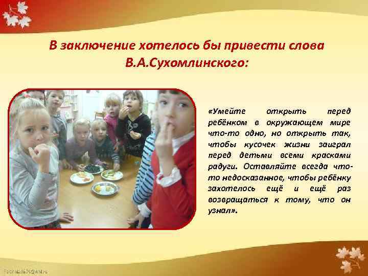 В заключение хотелось бы привести слова В. А. Сухомлинского: «Умейте открыть перед ребёнком в