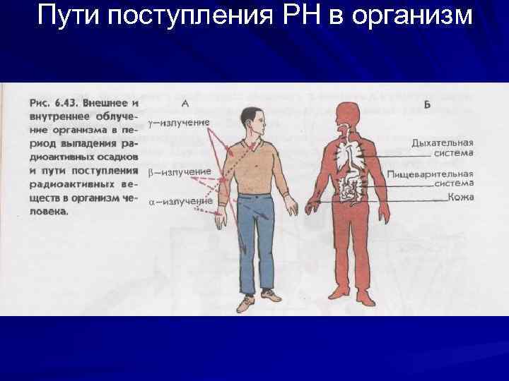 Пути поступления РН в организм 