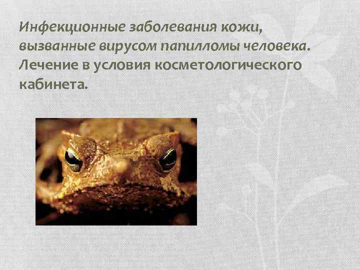 Инфекционные заболевания кожи, вызванные вирусом папилломы человека. Лечение в условия косметологического кабинета. 