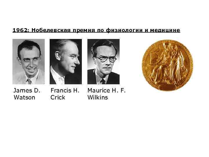 1962: Нобелевская премия по физиологии и медицине James D. Watson Francis H. Crick Maurice