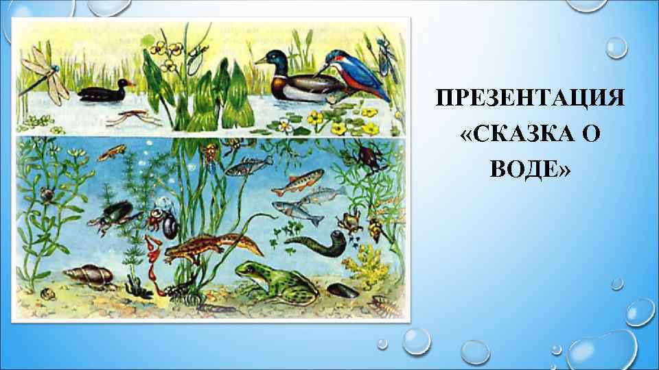 ПРЕЗЕНТАЦИЯ «СКАЗКА О ВОДЕ» 