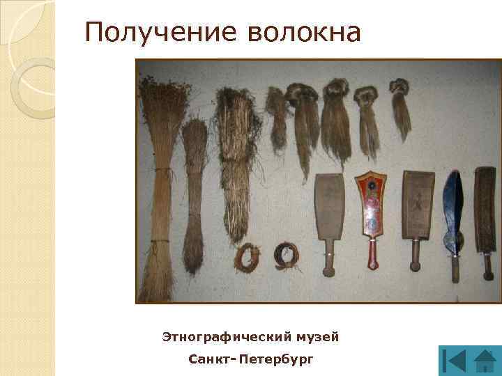 Получение волокна Этнографический музей Санкт- Петербург 