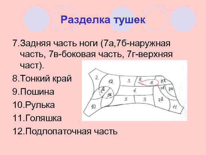 Разделка тушек 7. Задняя часть ноги (7 а, 7 б-наружная часть, 7 в-боковая часть,
