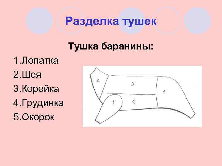 Разделка тушек Тушка баранины: 1. Лопатка 2. Шея 3. Корейка 4. Грудинка 5. Окорок