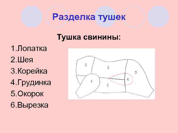 Разделка тушек Тушка свинины: 1. Лопатка 2. Шея 3. Корейка 4. Грудинка 5. Окорок