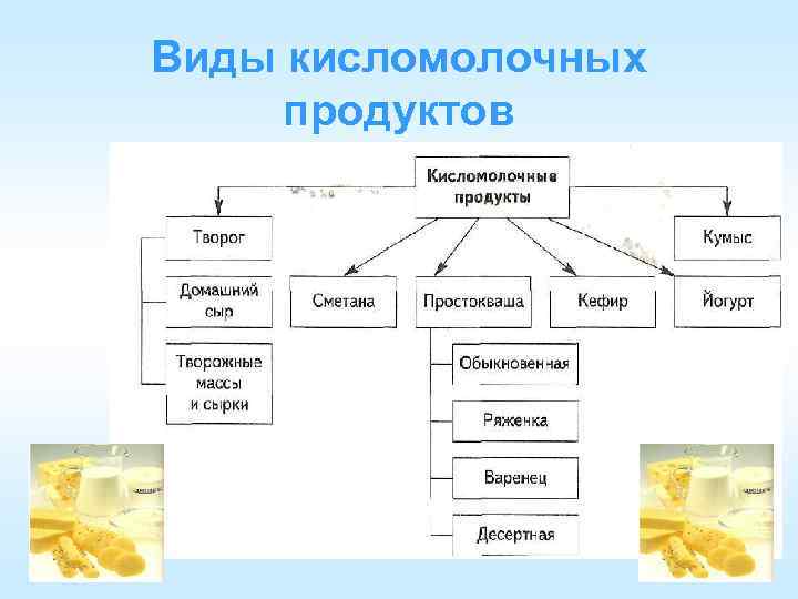 Виды кисломолочных продуктов 