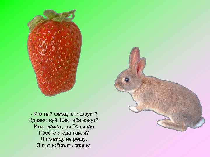 - Кто ты? Овощ или фрукт? Здравствуй! Как тебя зовут? Или, может, ты большая