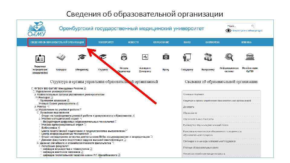 Сведения об образовательной организации 