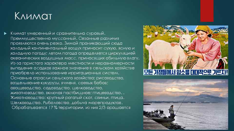 Климат умеренный и сравнительно суровый. Преимущественно муссонный. Сезонные различия проявляются очень резко. Зимой проникающий