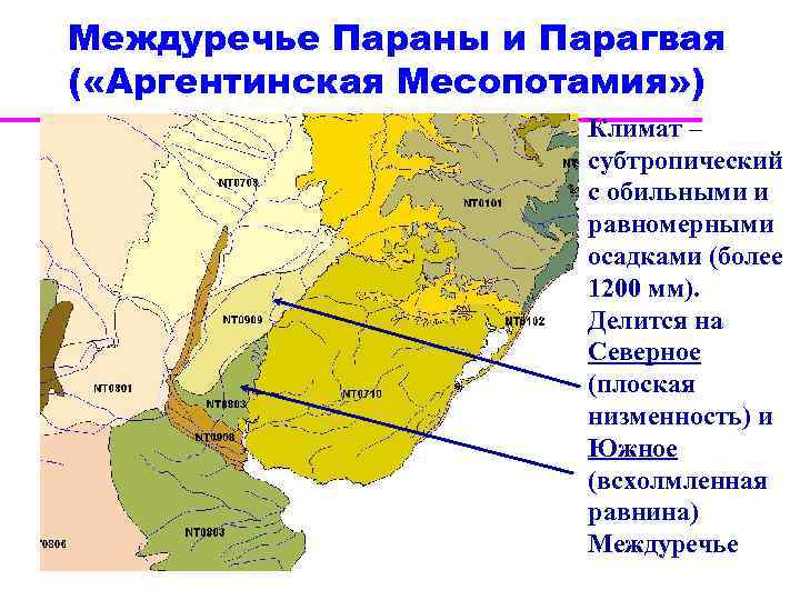 Междуречье Параны и Парагвая ( «Аргентинская Месопотамия» ) Климат – субтропический с обильными и