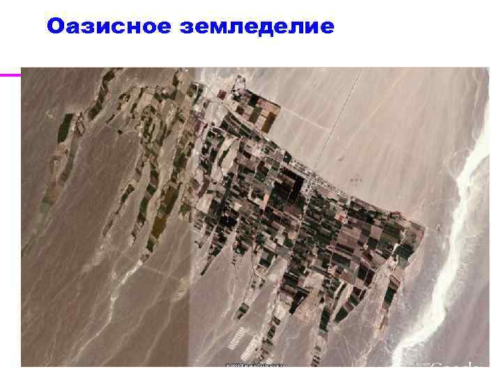 Оазисное земледелие 