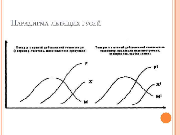 ПАРАДИГМА ЛЕТЯЩИХ ГУСЕЙ 