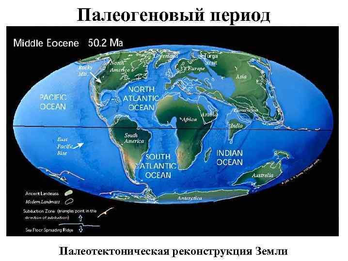 Палеогеновый период Палеотектоническая реконструкция Земли 