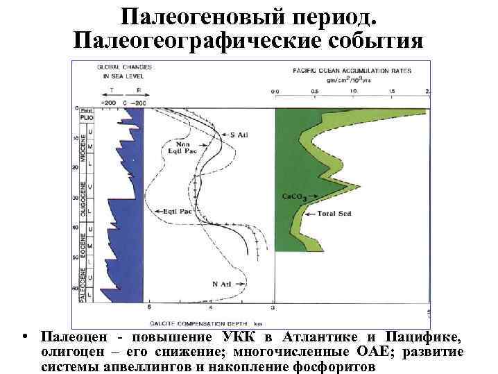 Палеогеновый период. Палеогеографические события • Палеоцен - повышение УКК в Атлантике и Пацифике, олигоцен