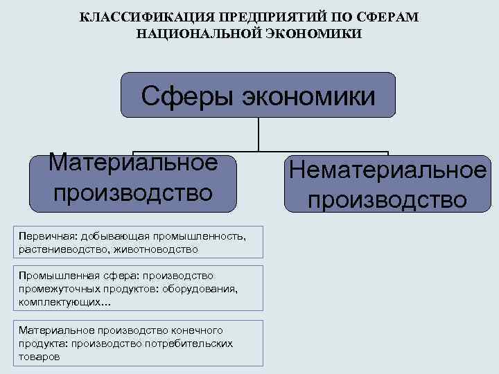 КЛАССИФИКАЦИЯ ПРЕДПРИЯТИЙ ПО СФЕРАМ НАЦИОНАЛЬНОЙ ЭКОНОМИКИ Сферы экономики Материальное производство Первичная: добывающая промышленность, растениеводство,
