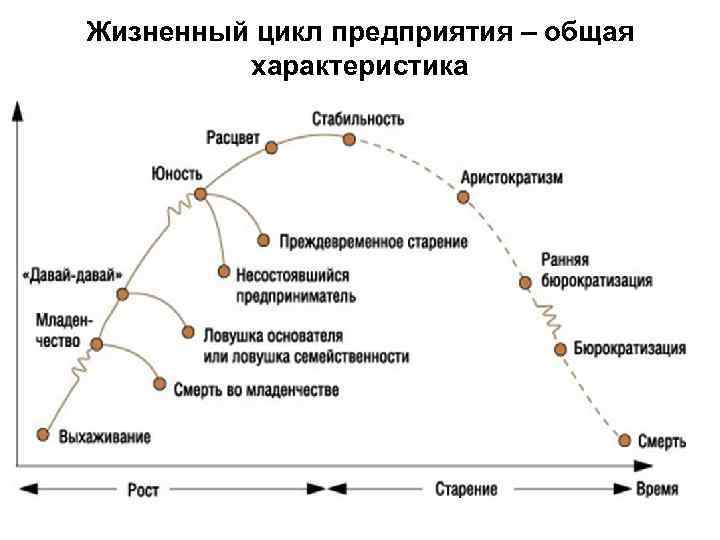 План характеристика экономического цикла егэ обществознание