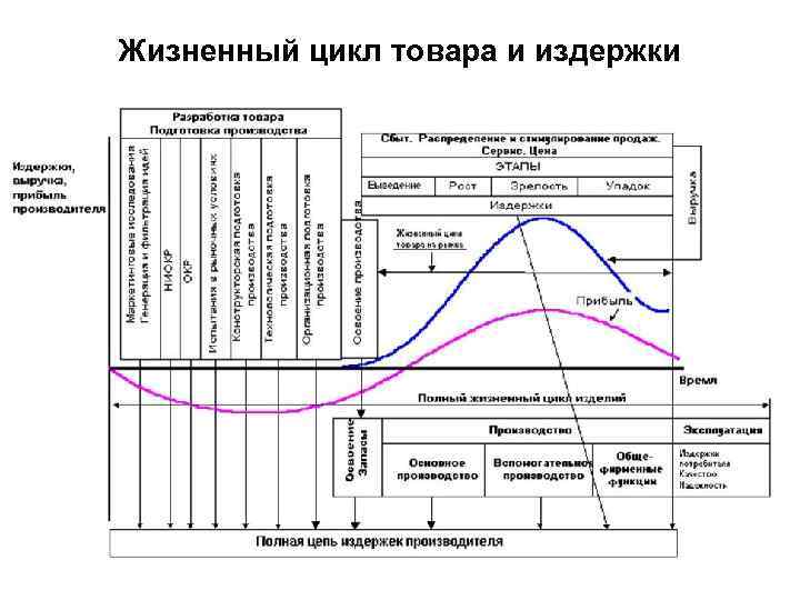 Жизненный цикл товара и издержки 