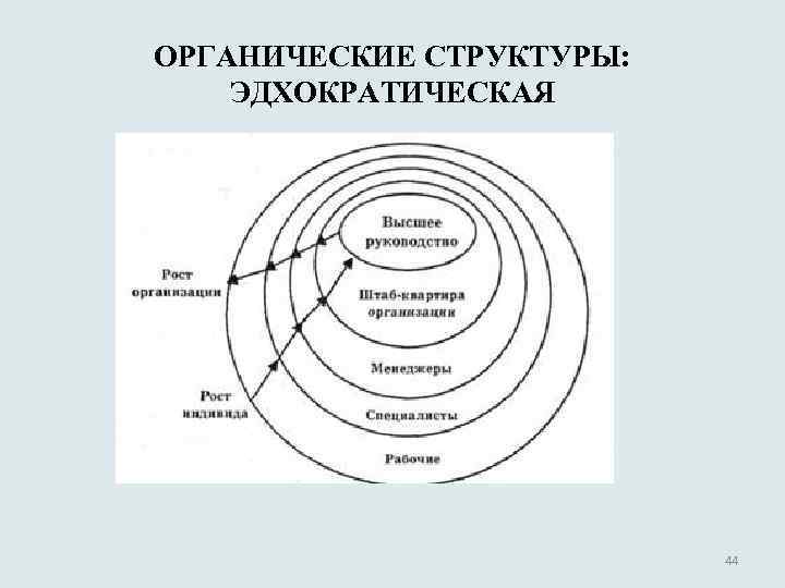 ОРГАНИЧЕСКИЕ СТРУКТУРЫ: ЭДХОКРАТИЧЕСКАЯ 44 