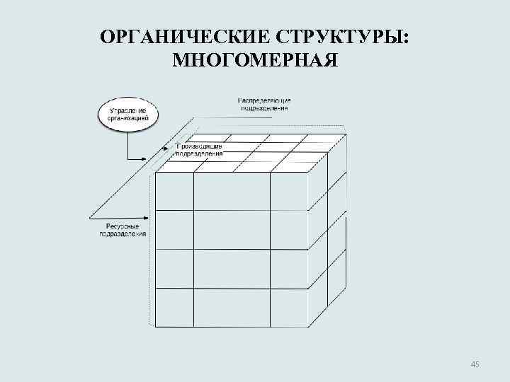 ОРГАНИЧЕСКИЕ СТРУКТУРЫ: МНОГОМЕРНАЯ 45 