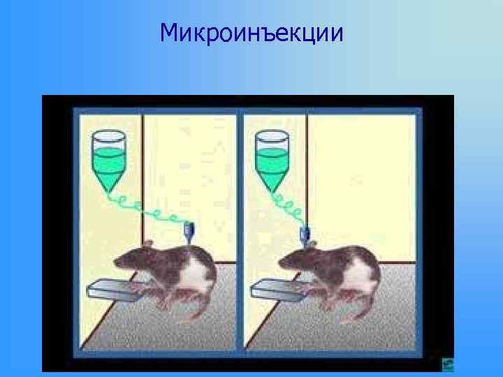 Микроинъекции 