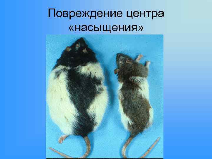 Повреждение центра «насыщения» 