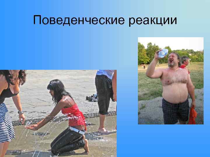 Поведенческие реакции 