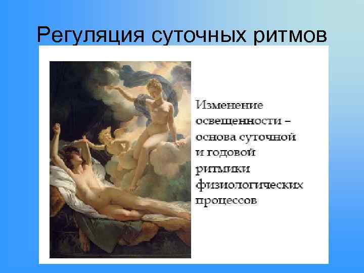 Регуляция суточных ритмов 