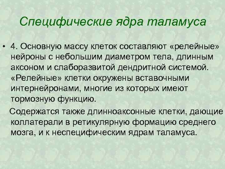 Специфические ядра таламуса • 4. Основную массу клеток составляют «релейные» нейроны с небольшим диаметром
