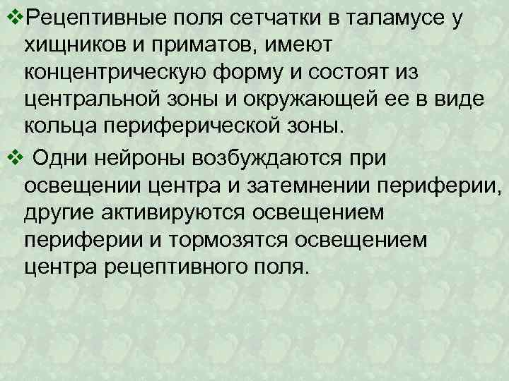 v. Рецептивные поля сетчатки в таламусе у хищников и приматов, имеют концентрическую форму и